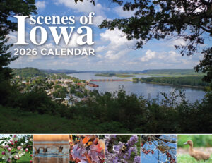 2026 Calendar Cover
